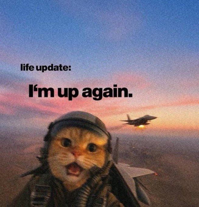 A meme featuring a cat wearing a pilot's helmet and headset, superimposed in front of a sunset with a fighter jet, with the text 'life update: I'm up again.'