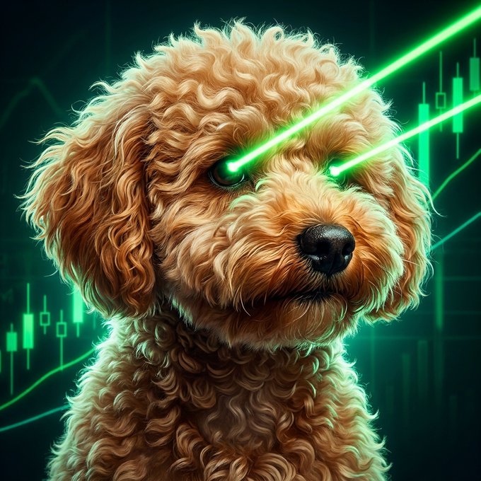 A digital artwork of a fluffy, apricot-colored dog with glowing green laser beams shooting from its eyes, set against a dark background with green trading chart candlesticks.