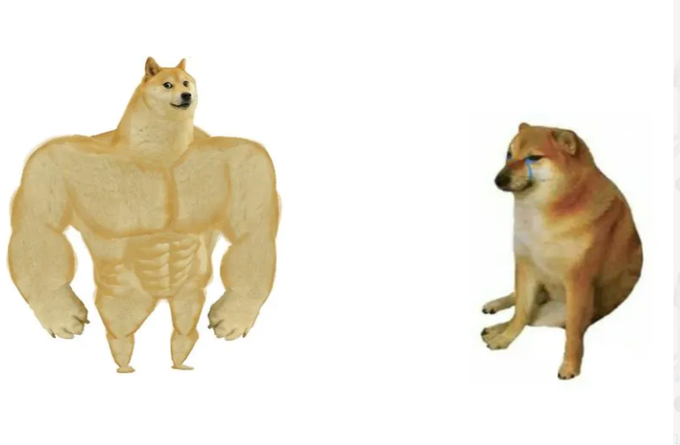 This image displays the "Buff Doge vs Cheems" meme format. The post suggests that "$CASHCAT is $CHEEMS with a cat face", implying that $CASHCAT, like Cheems, is a more pathetic or less desirable cryptocurrency compared to whatever the buff doge represents.