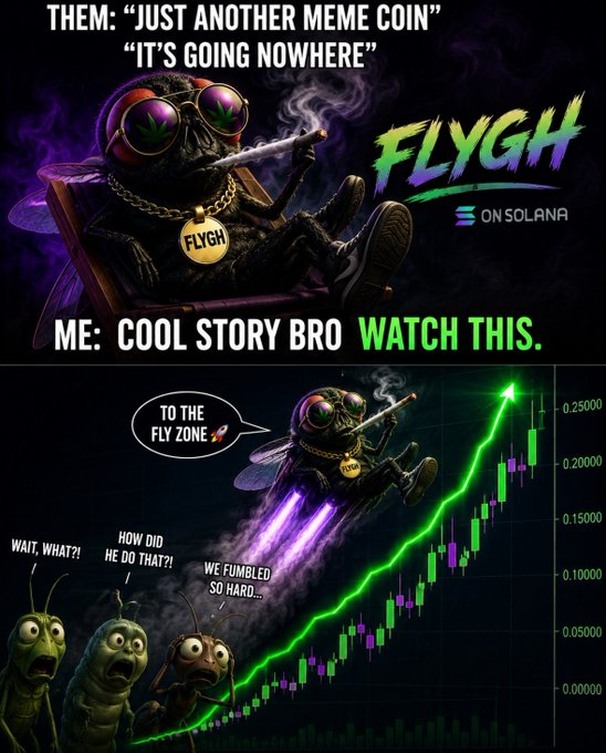 A promotional meme for 'FLYGH ON SOLANA' featuring a smoking gorilla character, with text 'THEM: JUST ANOTHER MEME COIN, IT'S GOING NOWHERE' and 'ME: COOL STORY BRO WATCH THIS', alongside a chart showing a rocket-like upward price trajectory.