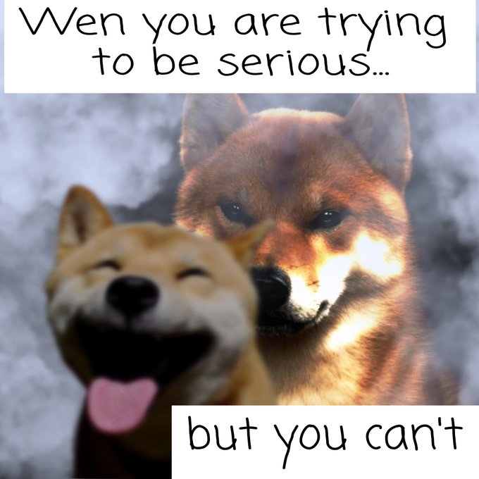 A meme featuring a smiling Shiba Inu dog ('Doge') in the foreground with a serious-looking Shiba Inu in the background, accompanied by text reading 'When you are trying to be serious...' and 'but you can't'.