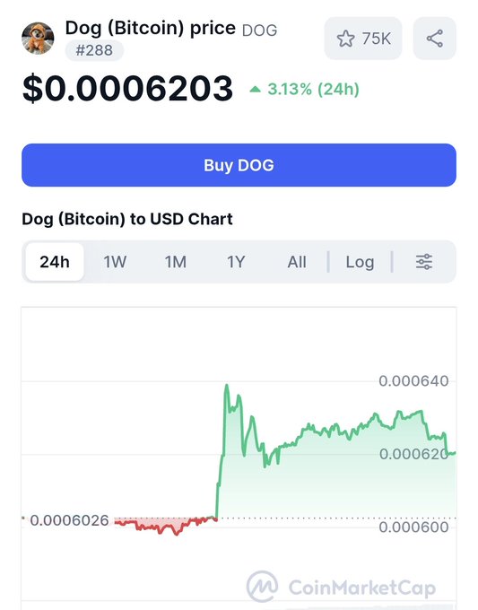 A CoinMarketCap screenshot showing 'Dog (Bitcoin) price DOG' at $0.0006203, up 3.13% (24h), with a green price chart.