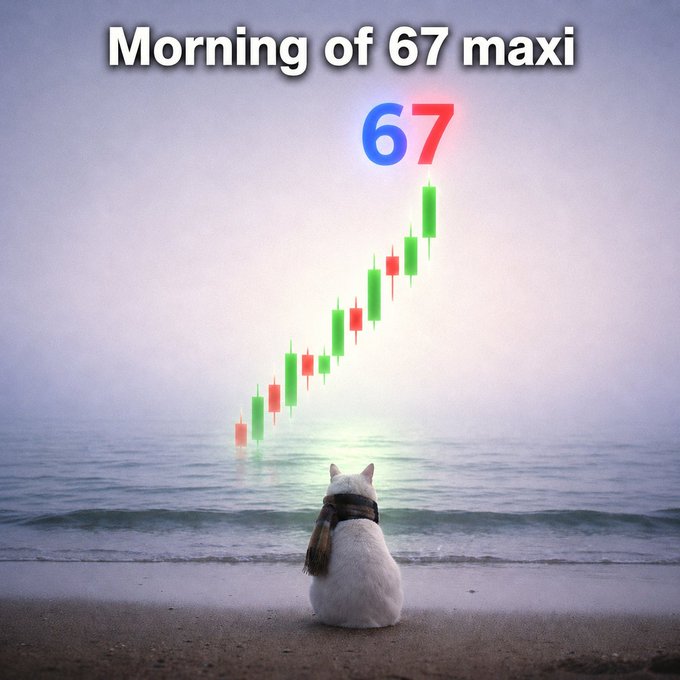 A white cat wearing a scarf sits on a beach watching a rising candlestick chart on the horizon labeled 'Morning of 67 maxi' with the number '67' prominently displayed.
