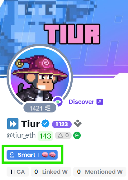 Profile page of 'Tiur' (@tiur_eth) showing a pixel-art avatar in a wizard hat, a 'Smart' tag highlighted with a green box, and stats like 1123, 143, and 0.