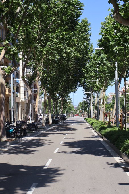 A tree-lined urban street with parked motorcycles and distant pedestrians stretches into the background under a clear blue sky. The caption "GM (get money)" plays on the popular internet slang, suggesting the peaceful, sunlit avenue as a backdrop for aspirations of financial success.