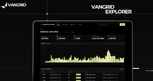 VANGRID Explorer dashboard displayed on a laptop and phone, showing statistics with 923,915 transactions and a bar chart of activity.