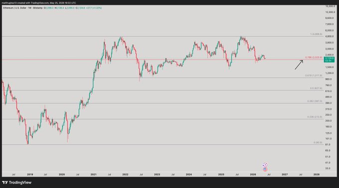 xtrp chart with red, green and blue lines representing stock prices over time against a black background.