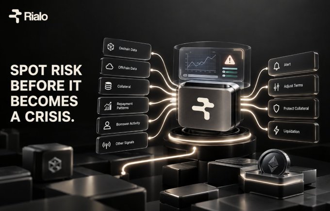 Promotional graphic for 'Rialo' with the tagline 'SPOT RISK BEFORE IT BECOMES A CRISIS,' featuring data flow elements like 'Onchain Data' and 'Collateral' connected to a central cube.