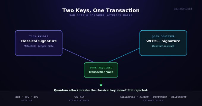 An infographic titled 'Two Keys, One Transaction' explaining how QIP's Cosigner works by requiring both a Classical Signature (YOUR WALLET - MetaMask, Ledger, Safe) and a QuIP Cosigner (WOTS+ Signature, Quantum-resistant), stating 'Quantum attack breaks the classical key alone? Still rejected.'