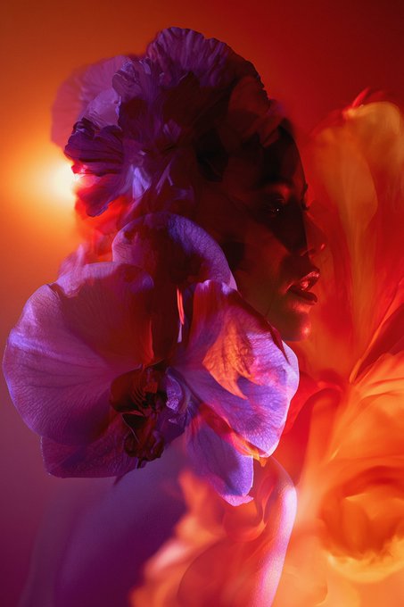 A woman's profile is overlaid with vibrant purple orchid blooms, bathed in dramatic red and orange lighting that evokes a sense of deep emotion, perfectly capturing the "Chemistry" series' theme of feelings growing quietly within. The image complements the accompanying text about the NFT artwork titled "Orchid," available through TransientLabs.