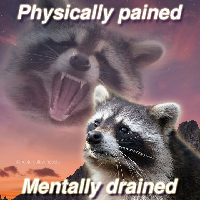 A meme featuring two raccoons against a starry pink and orange sky; the top one appears to be screaming with the text 'Physically pained,' while the bottom one looks up with the text 'Mentally drained,' watermarked '@nocturnaltrashposts.'