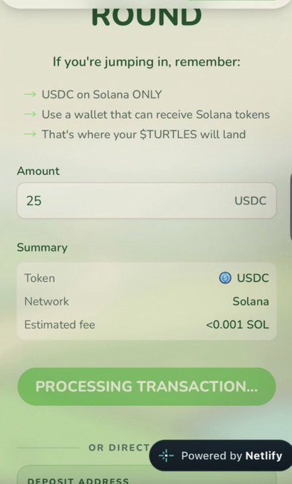 A mobile screen shows a deposit interface for purchasing $TURTLES tokens, requiring 25 USDC on the Solana network with a transaction fee of less than 0.001 SOL, currently displaying "PROCESSING TRANSACTION..." as a follow-up to purchasing the token.