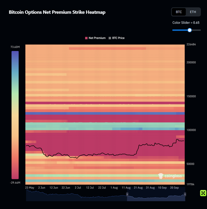 A 'Bitcoin Options Net Premium Strike Heatmap' from Coinglass showing call and put premium distributions across strike prices from approximately $19,784 to $226,484, with a black line tracking BTC price hovering around the $60K-$80K range.
