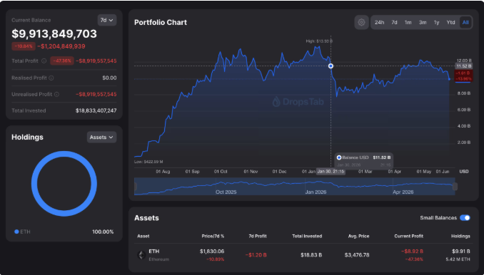 A cryptocurrency portfolio dashboard showing a current balance of $9,913,849,703 with an ETH holding at 100%, displaying a portfolio chart that peaked around December 2025.