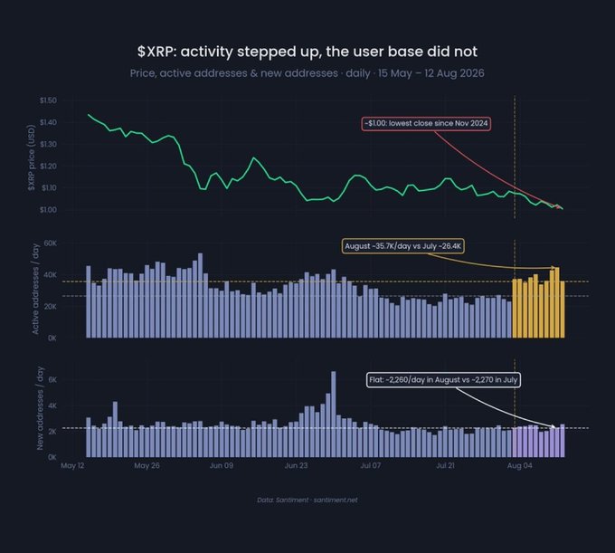 A chart titled '$XRP: activity stepped up, the user base did not' tracking price, active addresses, and new addresses from May 15 to August 12, 2026, noting the price hit a low of ~$1.00, with August active addresses averaging ~35.7K/day versus July's ~26.4K, and new addresses averaging ~2,260/day in August versus ~2,270 in July, sourced from sentiment.net.