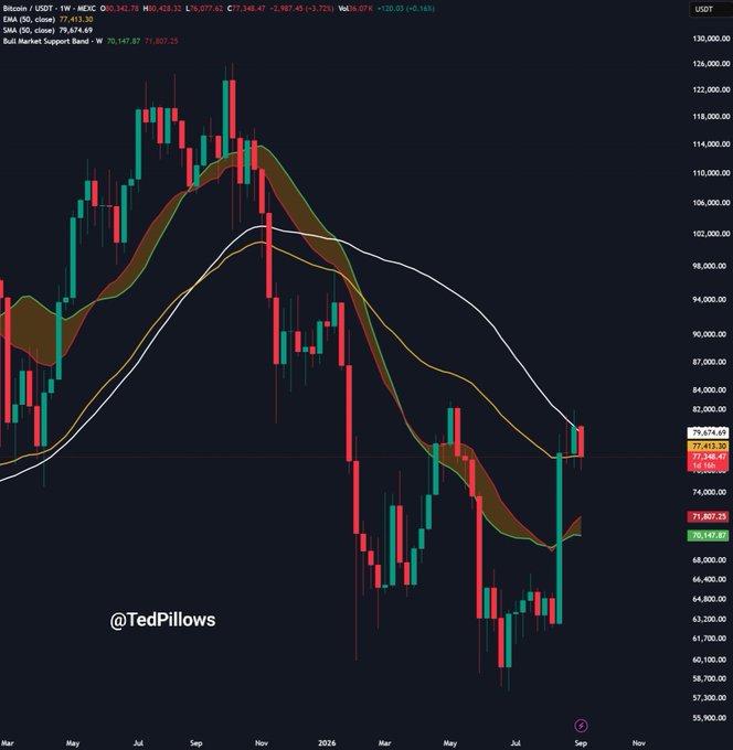 A Bitcoin candlestick chart on TradingView displays BTC/USD weekly price action with moving averages and a Bull Market Support Band indicator, watermarked '@TedPillows'.