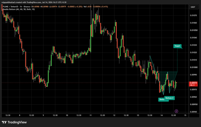 A TradingView candlestick chart for the PLUME/USDT pair showing a Double Bottom pattern with marked entry, stop, and target levels.