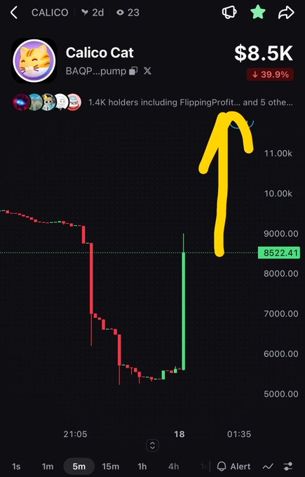 A cryptocurrency price chart for 'Calico Cat' token (ticker BAQP...) showing a value of $8.5K with a 39.9% decline, featuring a yellow arrow pointing to a recovery from a recent dip.