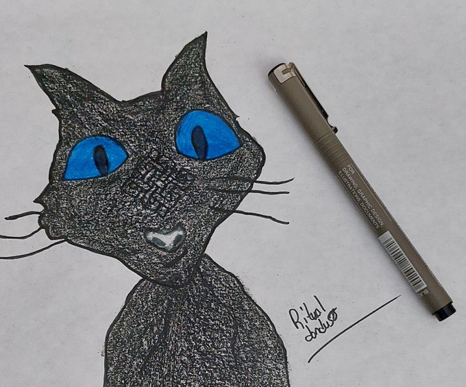 A detailed pen and ink drawing of a black cat with striking bright blue eyes, signed 'Rikel' and dated 2025, photographed next to a Micron drawing pen on white paper.