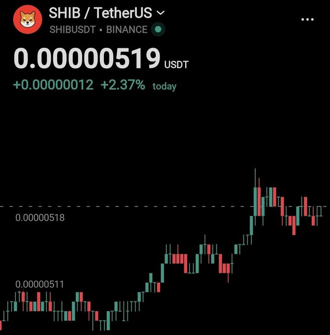 A cryptocurrency chart showing SHIB/TetherUS trading on Binance at 0.00000519 USDT, up 2.37% (+0.00000012) for the day, with red and green candlesticks indicating price movement.