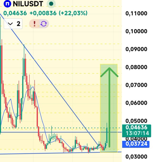 A candlestick chart for ticker $NIL (NILUSDT) shows a massive +22.03% rally to 0.04636, highlighted by a large green arrow pointing toward the 0.08000 resistance level after breaking out from a long downtrend. The post celebrates the breakout, aligning with the chart's bullish momentum and recent reclaim of the 0.04636 support zone above the 0.03724 level.