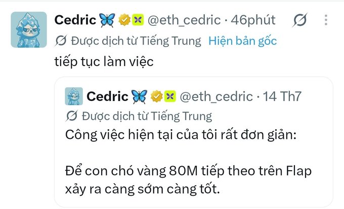 The image displays a translated tweet from Cedric (@eth_cedric) quoting a previous post from July 14, where he states his current work is focused on making "Chó Vàng" (a Chinese meme coin, meaning "Golden Dog") reach an 80M market cap on Flap as soon as possible. The recent reply simply says "tiếp tục làm việc" ("keep working"), indicating his continued commitment to the project.
