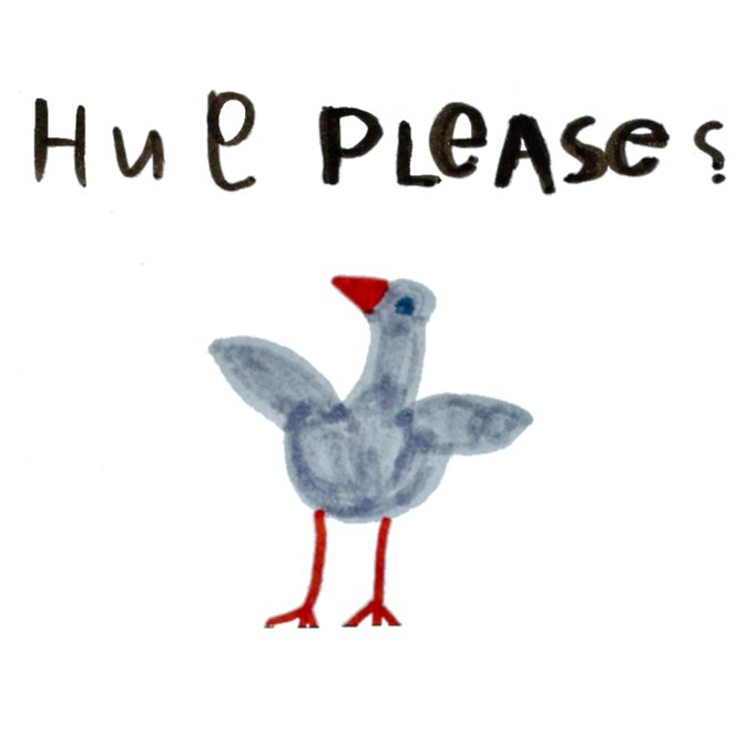A childlike watercolor drawing of a grey bird with a red beak and legs, accompanied by the handwritten text 'HI E PLEASE?'