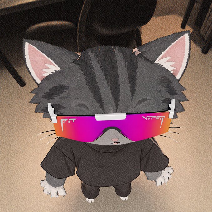 A 3D-rendered gray cat character wearing a black shirt and bright pink/orange "VITES" ski goggles.