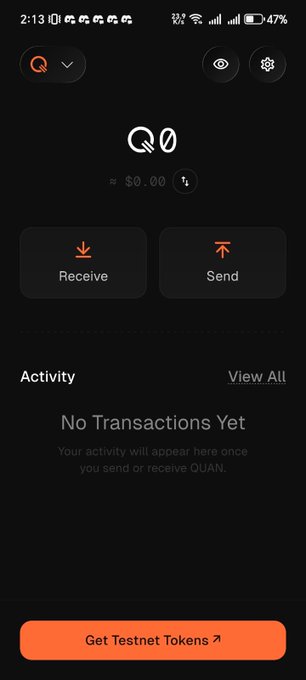 A mobile cryptocurrency wallet screenshot showing a balance of 0 QUAN ($0.00) with Receive and Send options, no transaction activity, and a 'Get Testnet Tokens' button at the bottom.
