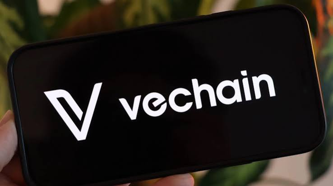 A hand holds a smartphone displaying the 'vechain' logo in white text against a black background.