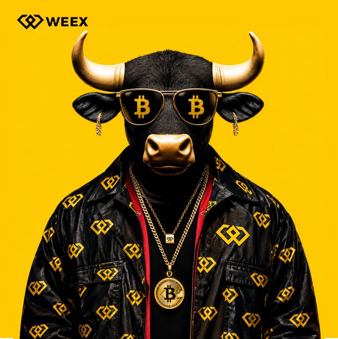 A bull wearing Bitcoin-themed sunglasses, a gold Bitcoin medallion, and a black jacket with yellow WEEX logos, set against a yellow background.