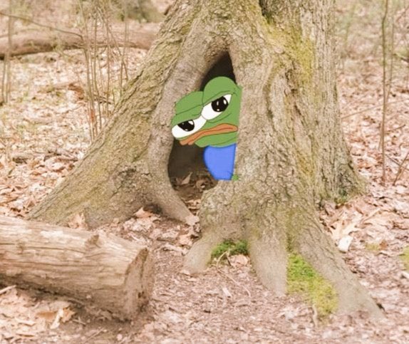 A green Pepe the Frog character with a blue body peers out from a hollow cavity in the base of a large tree in a leaf-strewn forest.