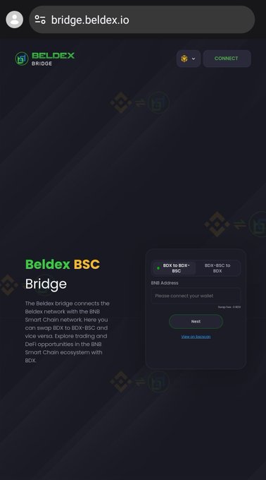 The Beldex BSC Bridge website (bridge.beldex.io), explaining how the bridge connects the Beldex network with the BNB Smart Chain for swapping BDX to BNB and vice versa.