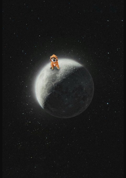 A small dog wearing an orange astronaut suit sitting on top of a moon against a starry space background.