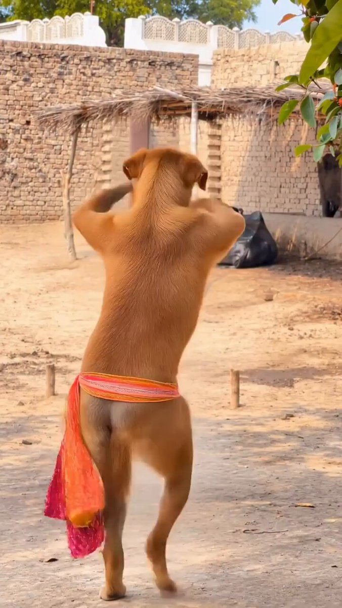None