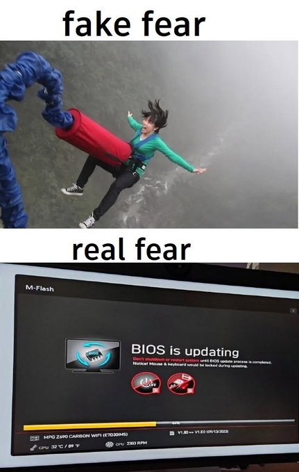 A meme comparing 'fake fear' (showing an animated character bungee jumping off a cliff) with 'real fear' (showing a computer screen displaying a BIOS update warning 'Do not shutdown or restart system until BIOS update process is completed').