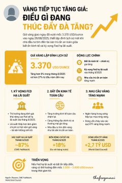A Vietnamese infographic titled 'VÀNG TIẾP TỤC TĂNG GIÁ: ĐIỀU GÌ ĐANG THÚC ĐẨY ĐÀ TĂNG?' showing gold price statistics including 3,370 USD/ounce with various factors.