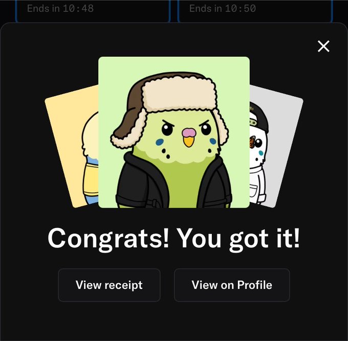 A mobile app popup showing three cartoon character cards (one in the foreground being a green bird-like character wearing a winter hat and jacket), with the message "Congrats! You got it!" and buttons for "View receipt" and "View on Profile".
