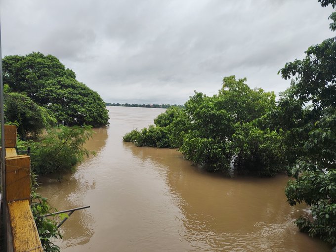 A landscape view of a muddy, brown river flowing between lush green trees and vegetation under an overcast, cloudy sky, with a yellow structure visible on the left bank.