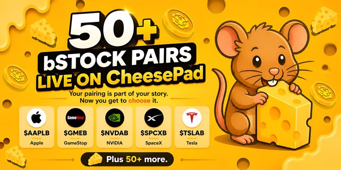 An advertisement for 'CheesePad' featuring a cartoon mouse and cheese, promoting '50+ bSTOCK PAIRS LIVE ON CheesePad' including $AAPLB, $GMEB, $NVDAB, $SPCXB, and $TSLAB.