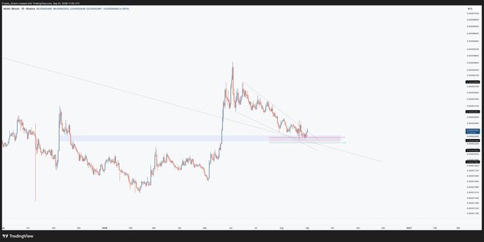 A TradingView chart titled “NEAR / Bitcoin Perpetual · BitMEX · 5” shows NEARBTC in a broader descending trend with a blue support zone, consolidation, and short-term resistance near 0.00017. It accompanies the post claiming NEARBTC is “Ready for the lift off” and warning against getting “chopped in the LTF noise” under the tag #NEAR.