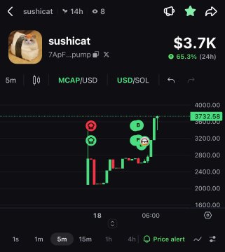A trading chart screenshot from a meme token called 'sushicat' (7ApF...pump) on Solana, showing a market cap of $3.7K with a 65.3% gain in 24 hours.