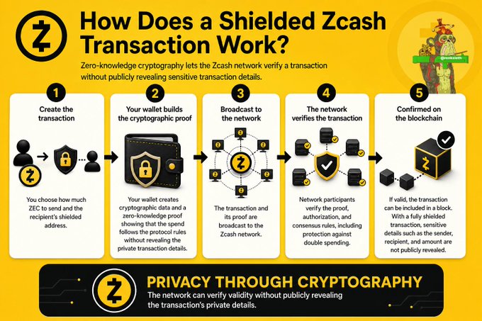 An infographic titled 'How Does a Shielded Zcash Transaction Work?' explaining the 5-step process of creating, proving, broadcasting, verifying, and confirming a ZEC transaction.