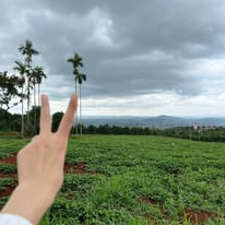 A first-person view of a hand making a peace sign in front of a lush green field of crops, with palm trees and mountains visible in the background under a cloudy sky.