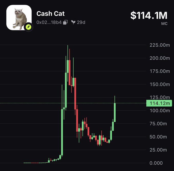 A 29-day candlestick chart of "Cash Cat" ($CASHCAT) token shows a dramatic price surge peaking above 225M market cap before crashing, followed by a notable recovery back up to its current $114.1M market cap, illustrating the impressive rebound referenced in the post.