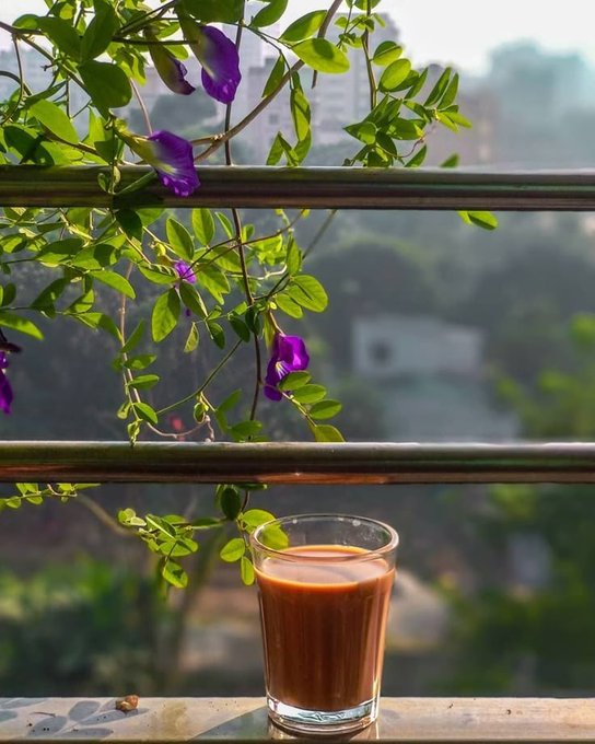 The image features a glass of coffee sitting on a windowsill next to a plant. The coffee appears to be dark brown, suggesting that it might be a latte or similar type of beverage. The window provides a view of trees outside, adding a natural element to the scene. The caption reads "Good Morning @NomismaNetwork and @useTria," which could possibly be a social media post about the coffee or the person enjoying their morning cup.