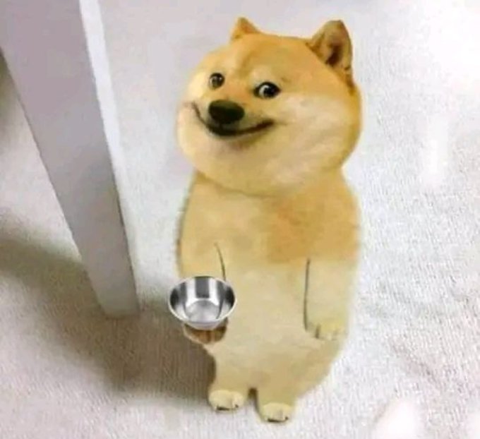 A humorous image of a cardboard cutout of a Shiba Inu dog standing upright and holding a small silver bowl in its paw, placed on a carpeted floor.