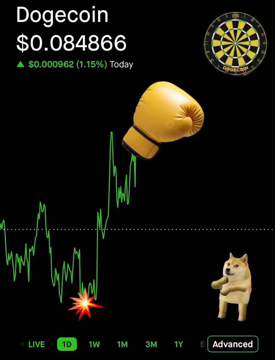 The image features a graph with a brown dog, likely a Weimaraner or similar breed, standing next to an advertisement for Dogecoin with a pair of boxing gloves flying into the frame above it. The dog appears to be holding one of these boxing gloves in its mouth. There is also a dartboard visible in the image. The post related to this image reads: "Dogecoin in the green today!".