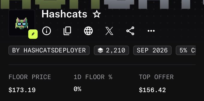 A dark-themed NFT collection page for "Hashcats" by hashcatsdeployer showing a floor price of $173.19, top offer of $156.42, 2,210 items, and September 2026 mint date with a 5% creator fee.