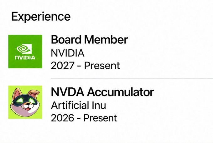 A LinkedIn-style "Experience" section shows two roles: "Board Member" at NVIDIA and "NVDA Accumulator" at Artificial Inu, both dated from 2026/2027 to Present. The playful cat-in-goggles logo and meme-style "NVDA Accumulator" title tie into the post's optimistic tone about a bright, bullish future for NVIDIA.